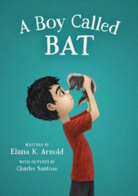 Cover image for A Boy Called Bat