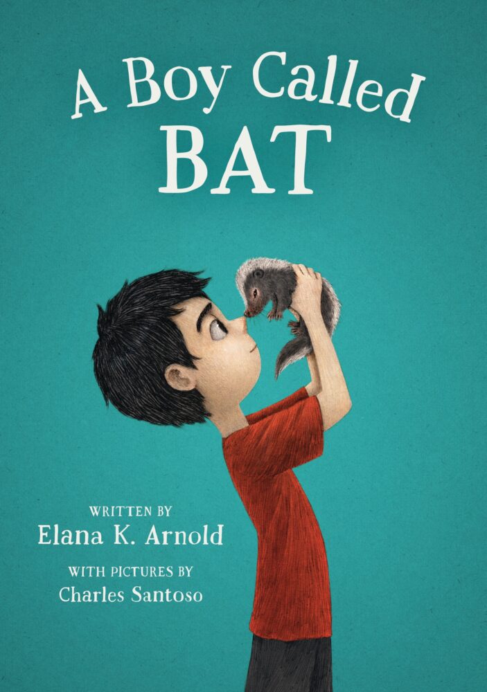Cover for A Boy Called Bat