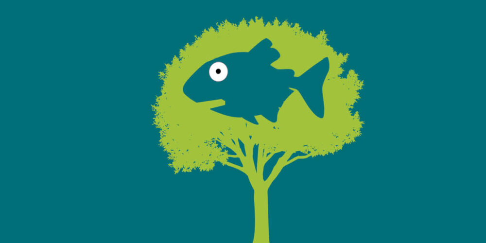 Cover for Fish in a Tree - links to full image and description