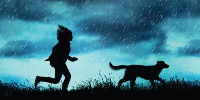 Cover for Rain Reign
