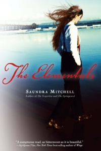 Cover for The Elementals
