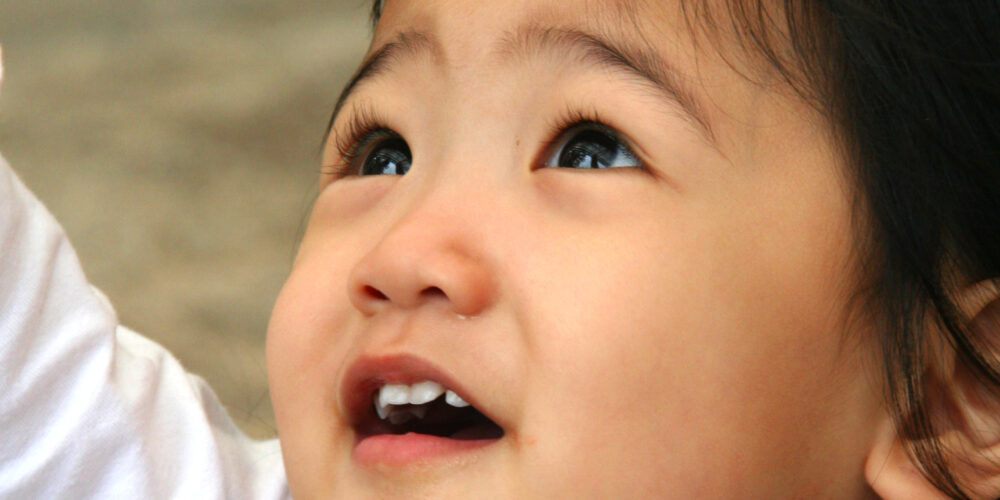 Close-up of a face, showing a set of questioning brown eyes
