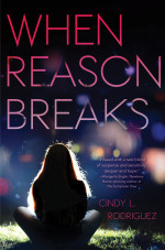 When Reason Breaks